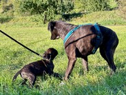 IMG_1683.jpeg