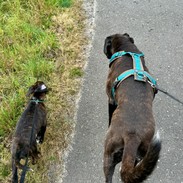 IMG_1758.jpeg